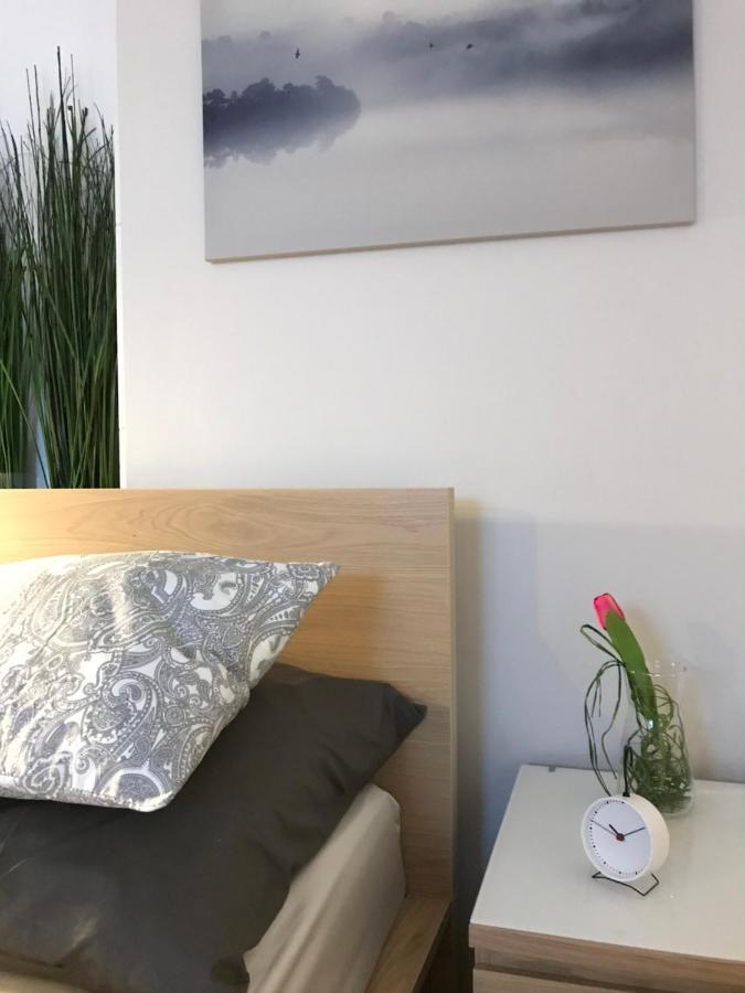 Apartament Starowka ジェロナ・グラ エクステリア 写真