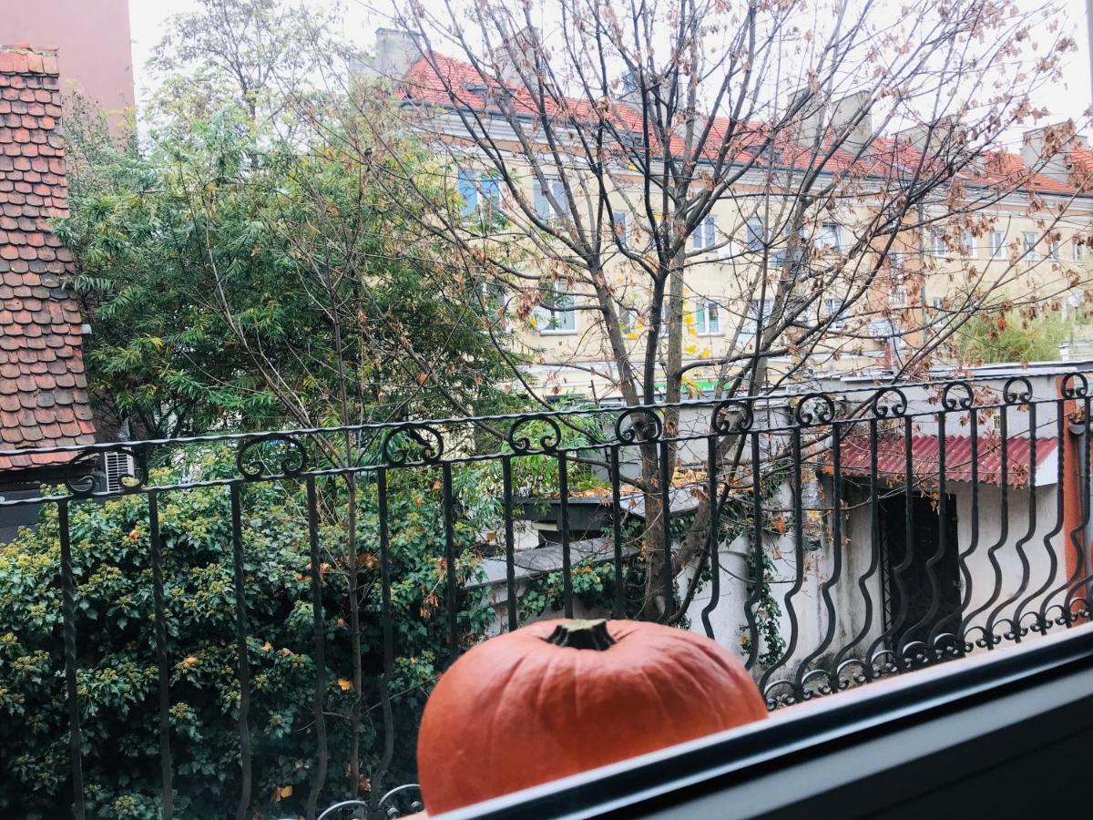 Apartament Starowka ジェロナ・グラ エクステリア 写真